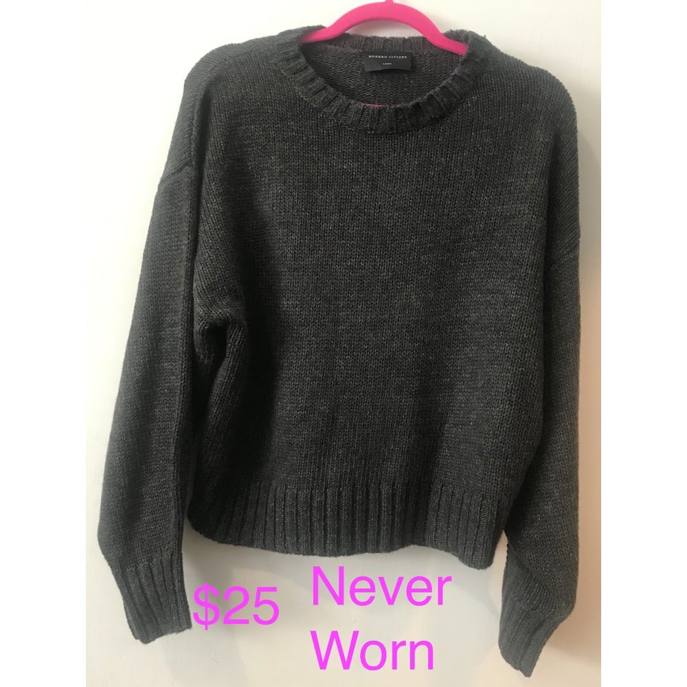 Charcoal Modern Citizen sweater (L) - never worn